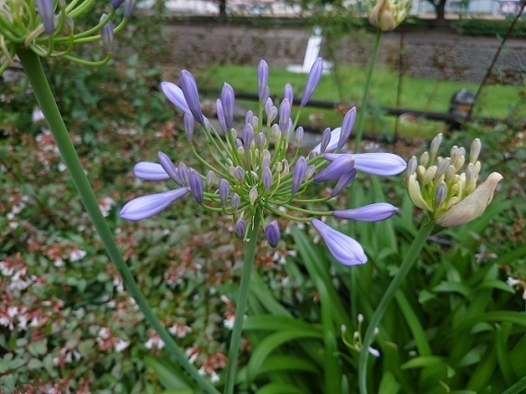 DSC_0011.JPG