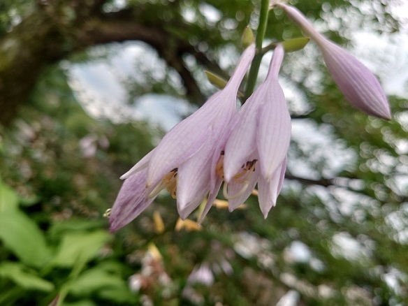 DSC_0012.JPG