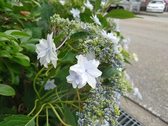 DSC_0057.JPG