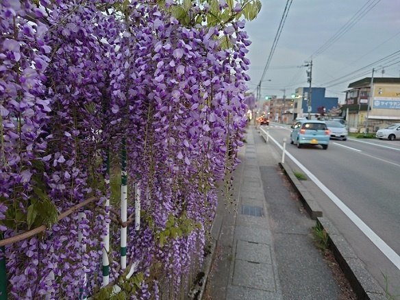 DSC_0071.JPG