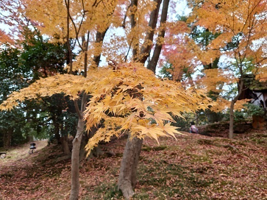 DSC_0094.JPG