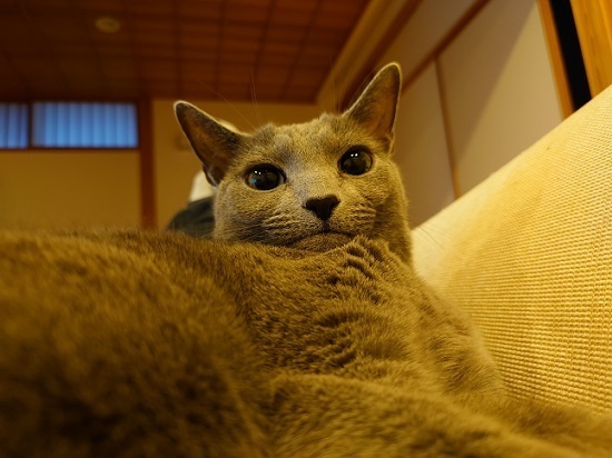 DSC_0095.JPG