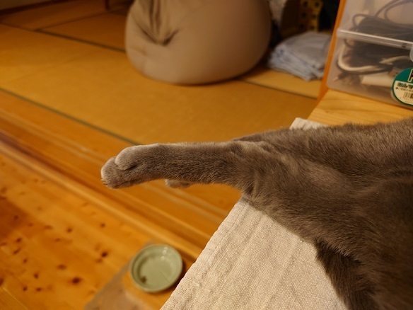 DSC_0125.JPG