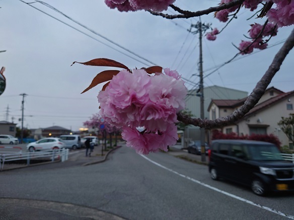 DSC_0181.JPG