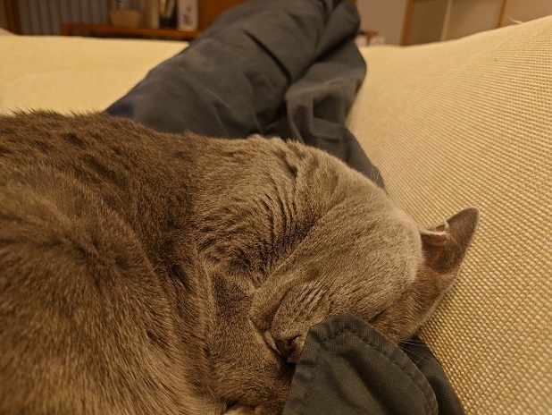 DSC_0302.JPG