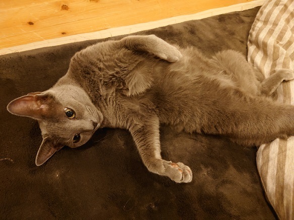 DSC_0309.JPG