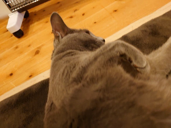 DSC_0312.JPG