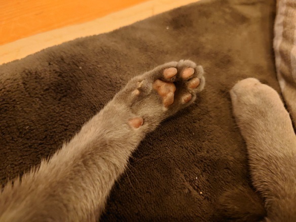 DSC_0313.JPG