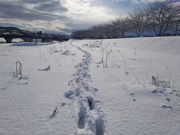 DSC_0395.JPG