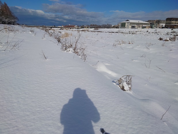 DSC_0396.JPG