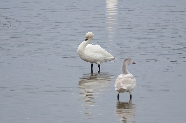 DSC_0677.JPG