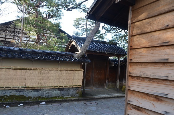 DSC_0968.JPG