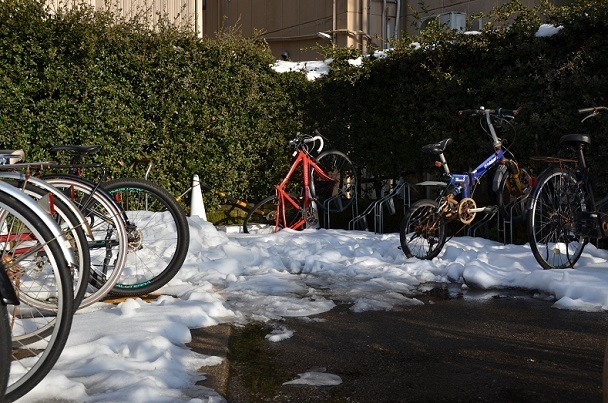 DSC_0971.JPG