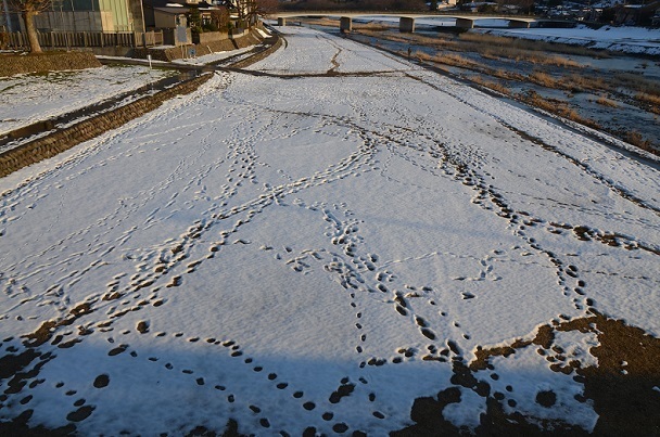 DSC_0974.JPG