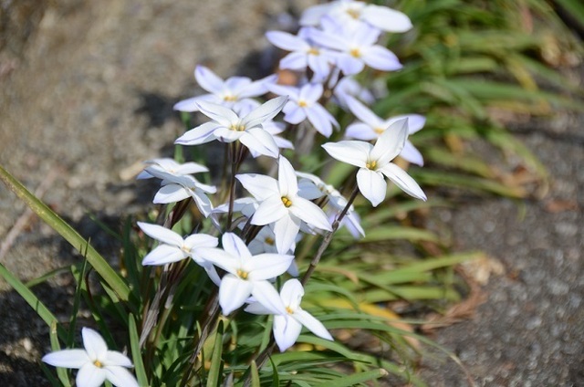 DSC_1269.JPG