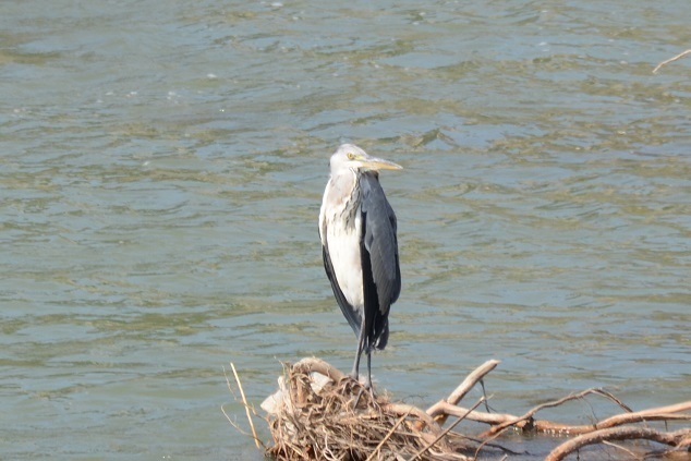 DSC_1812.JPG