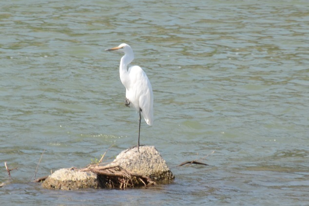 DSC_1813.JPG