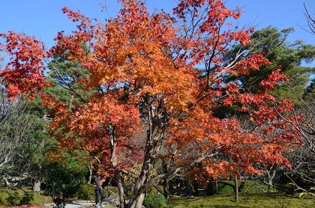 DSC_2216.JPG