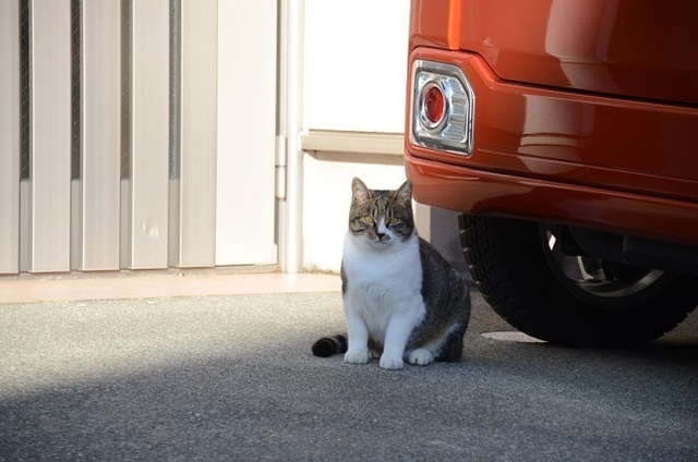 DSC_2287.JPG