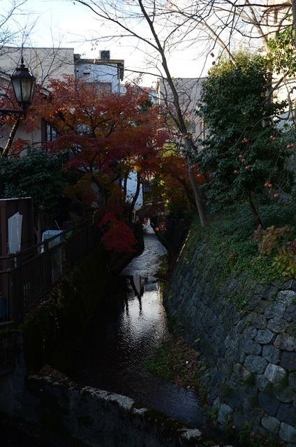 DSC_2289.JPG