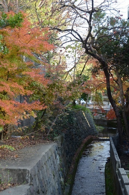 DSC_2290.JPG