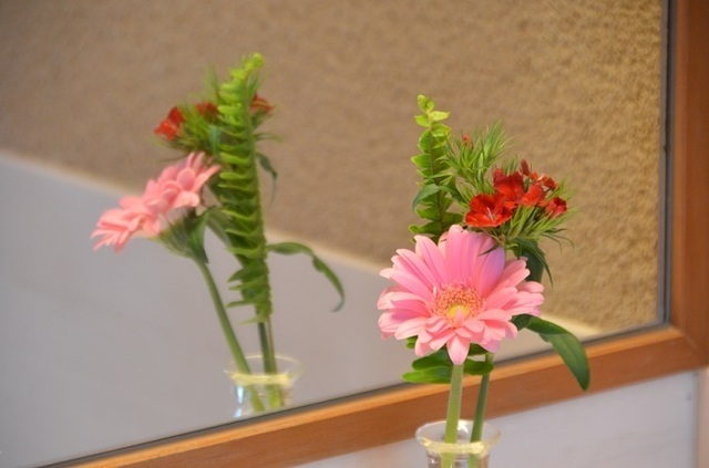 DSC_2868.JPG