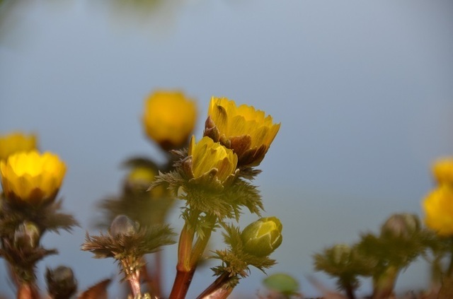 DSC_2869.JPG