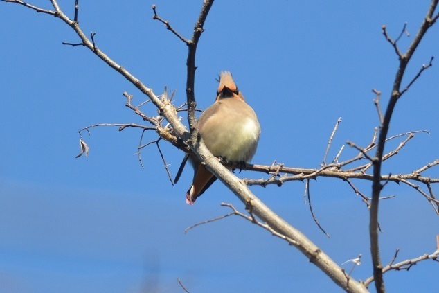 DSC_3021.JPG