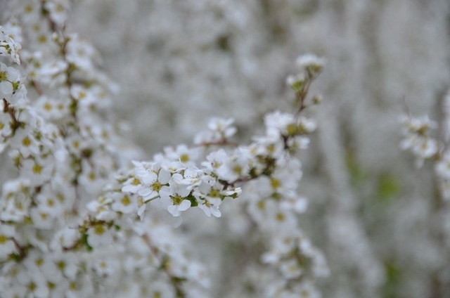 DSC_3051.JPG