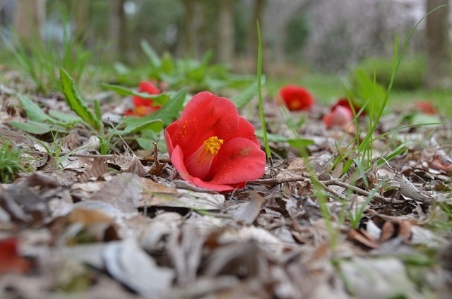 DSC_3058.JPG