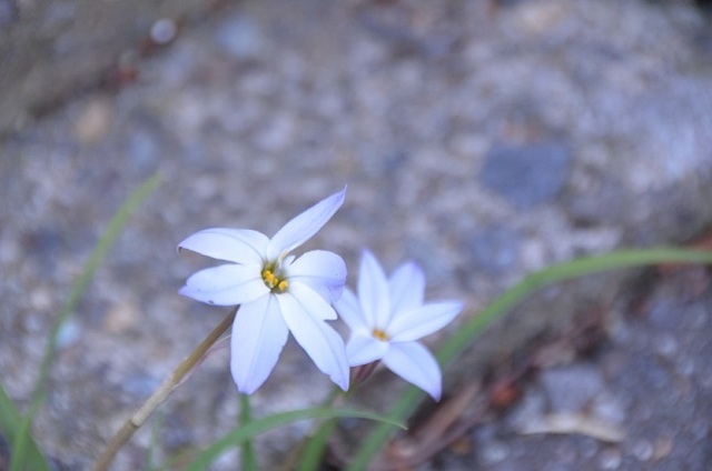 DSC_3067.JPG