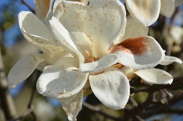 DSC_3069.JPG