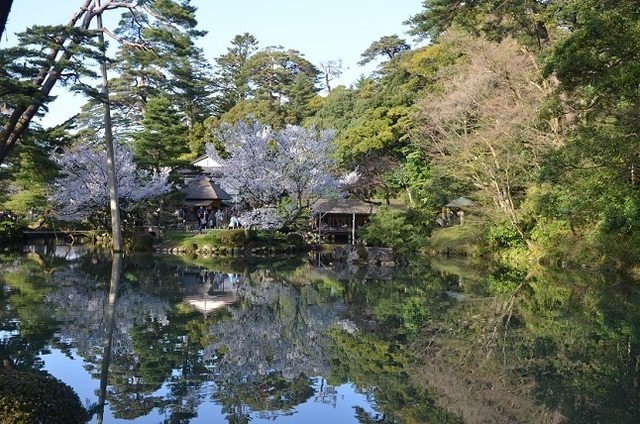 DSC_3073.JPG