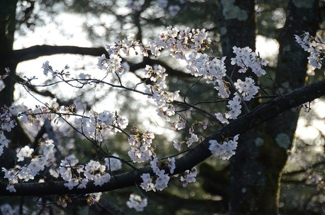 DSC_3076.JPG