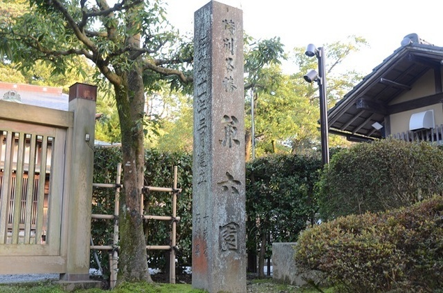 DSC_3090.JPG