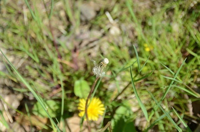 DSC_3201.JPG