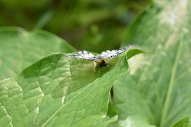 DSC_3235.JPG