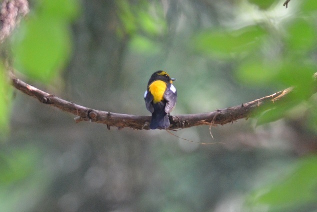 DSC_3250.JPG