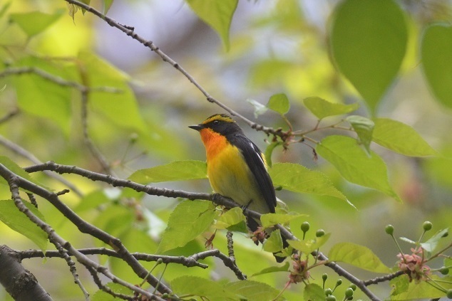 DSC_3257.JPG
