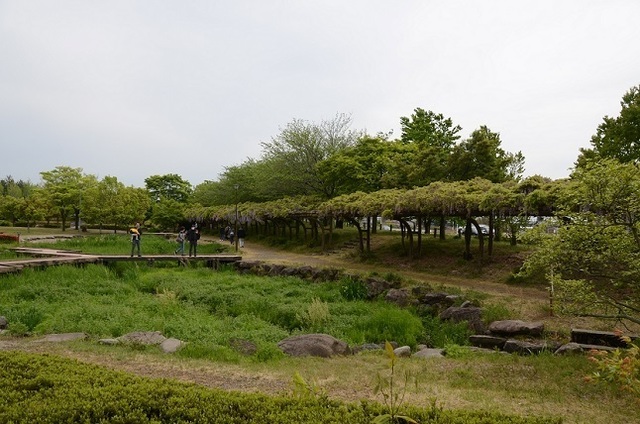 DSC_3281.JPG