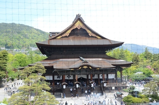 DSC_3315.JPG