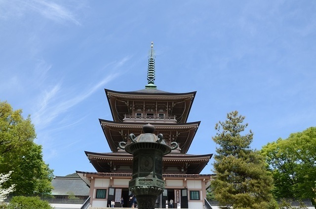 DSC_3317.JPG