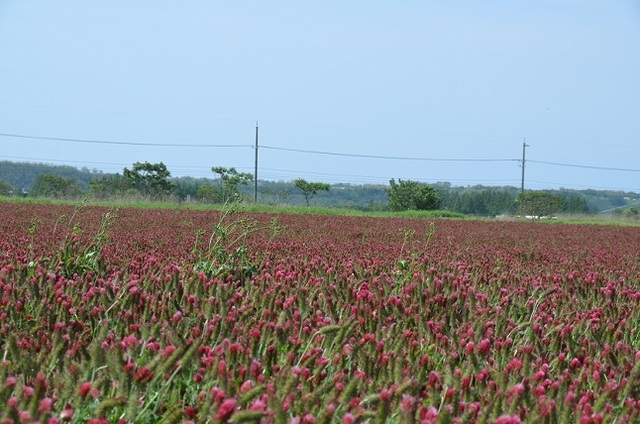 DSC_3376.JPG
