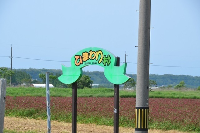 DSC_3379.JPG