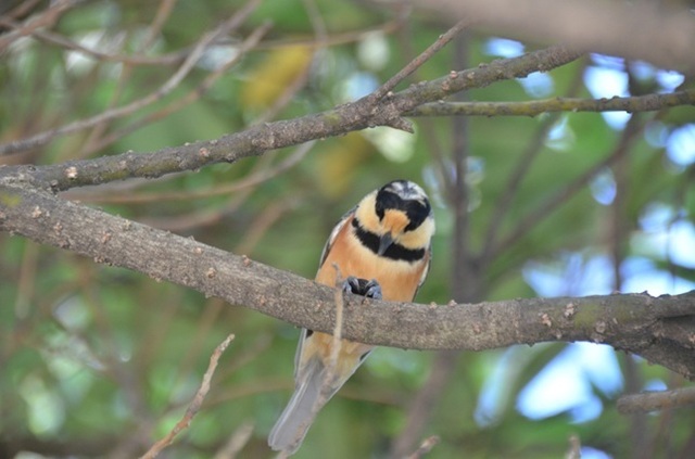 DSC_3786.JPG