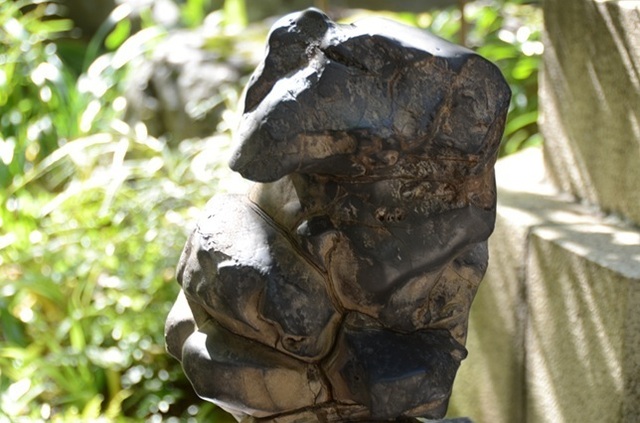 DSC_3979.JPG