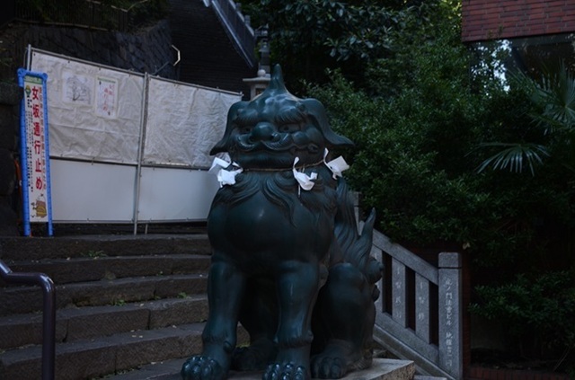 DSC_3983.JPG