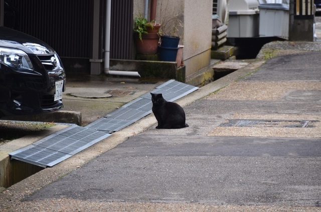 DSC_4122.JPG