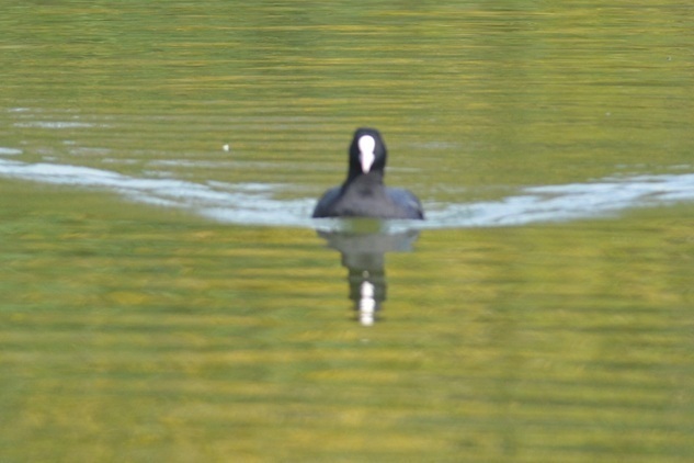 DSC_4159.JPG