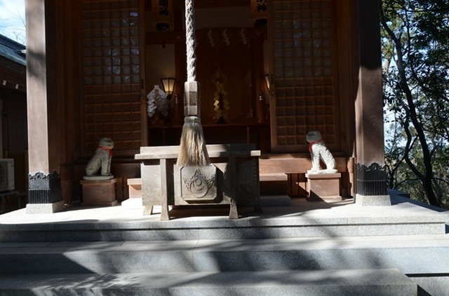 DSC_4476.JPG